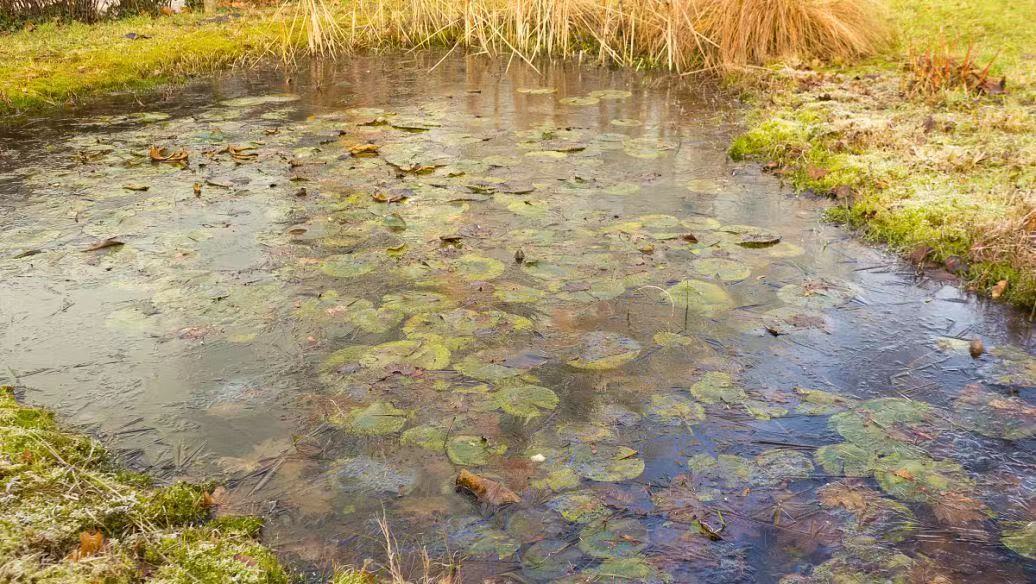 漁業(yè)水產(chǎn)養(yǎng)殖水質(zhì)監(jiān)測(cè)與預(yù)警系統(tǒng) 智能監(jiān)控管理(圖1) 漁業(yè)水產(chǎn)養(yǎng)殖水質(zhì)監(jiān)測(cè)與預(yù)警系統(tǒng) 智能監(jiān)控管理(圖1)