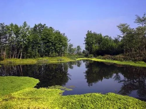 農(nóng)村生活污水處理工藝 農(nóng)村有哪些生活污水處理方式方法(圖2) 農(nóng)村生活污水處理工藝 農(nóng)村有哪些生活污水處理方式方法(圖2)