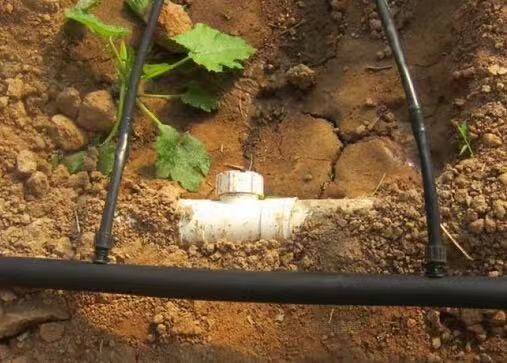 四川大棚智能節(jié)水灌溉系統(tǒng) 智能節(jié)水灌溉系統(tǒng)由什么組成(圖3) 四川大棚智能節(jié)水灌溉系統(tǒng) 智能節(jié)水灌溉系統(tǒng)由什么組成(圖3)