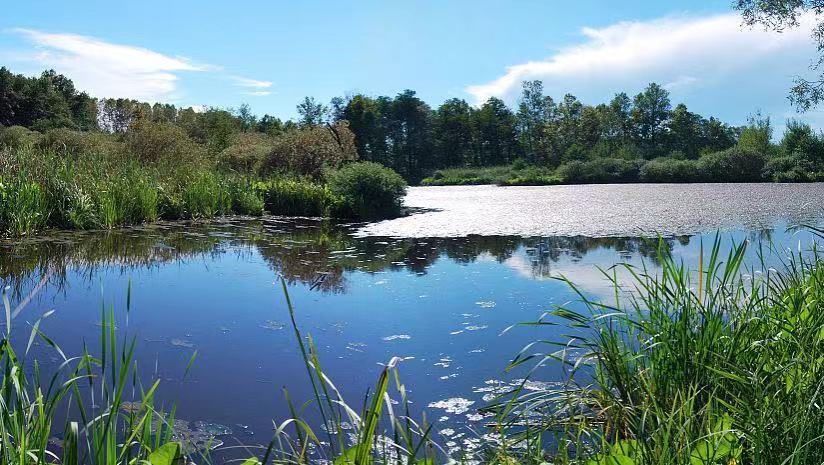 河道水環(huán)境綜合治理系統(tǒng)方案 有效治理河道水環(huán)境(圖1) 河道水環(huán)境綜合治理系統(tǒng)方案 有效治理河道水環(huán)境(圖1)